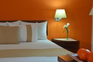 mision monterrey centro historico