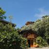 monteverde