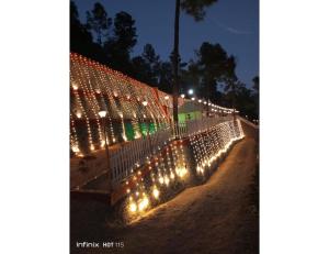 rajgarh exotica resorts