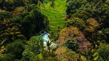 the kandy house