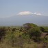 amboseli