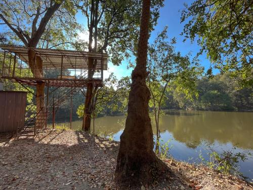 rukhad jungle camp