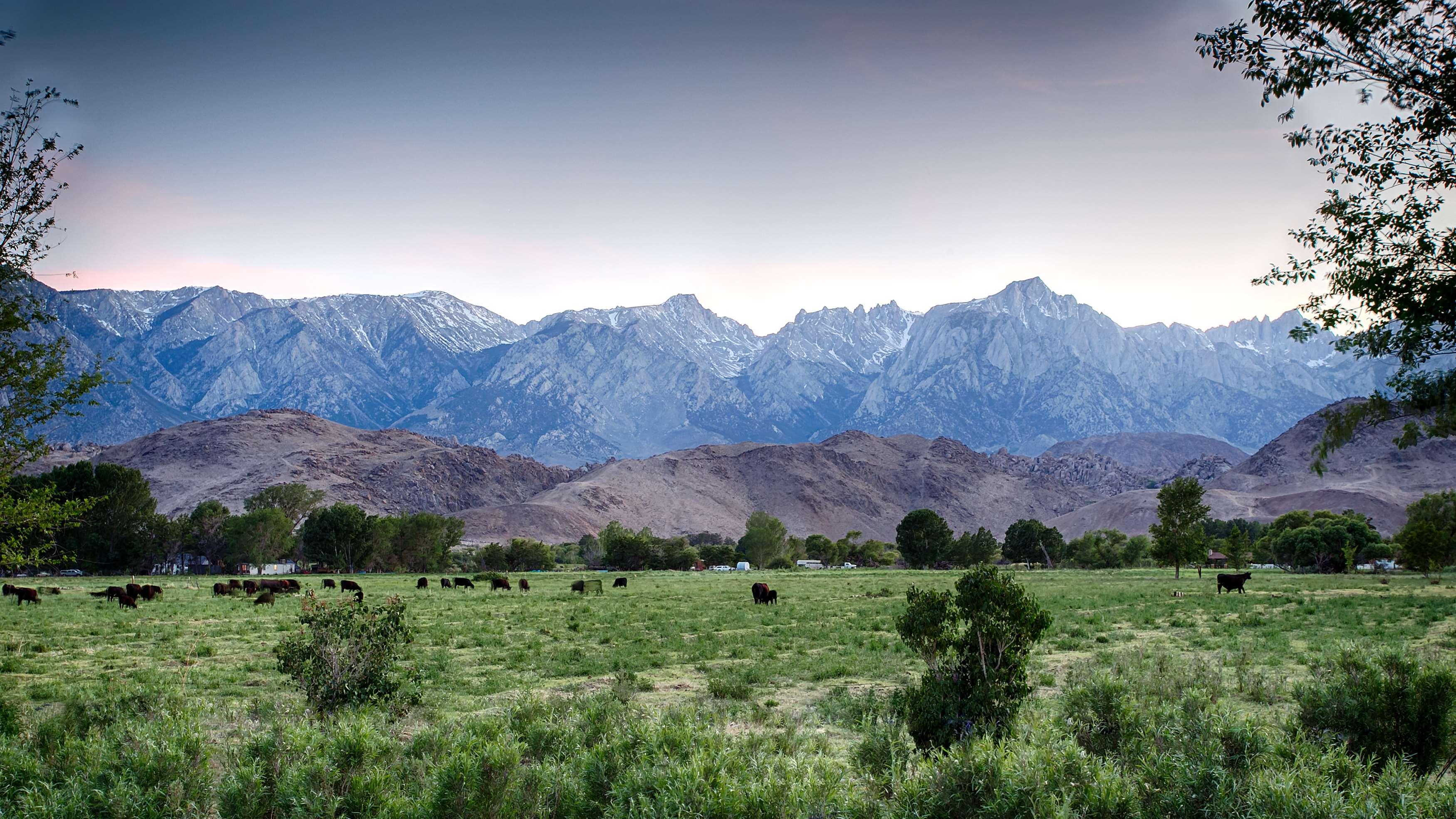 best western frontier motel