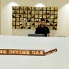 The Divine Oak Golden Leaf,India>>Katra,3 star