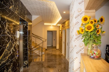 bloomtalya hotel