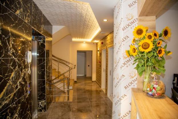 bloomtalya hotel