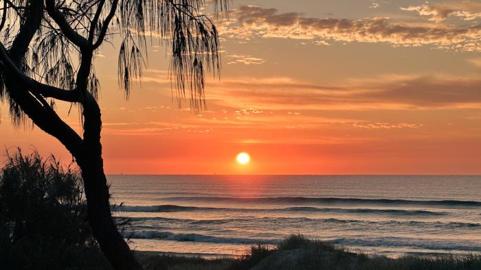 essence peregian beach