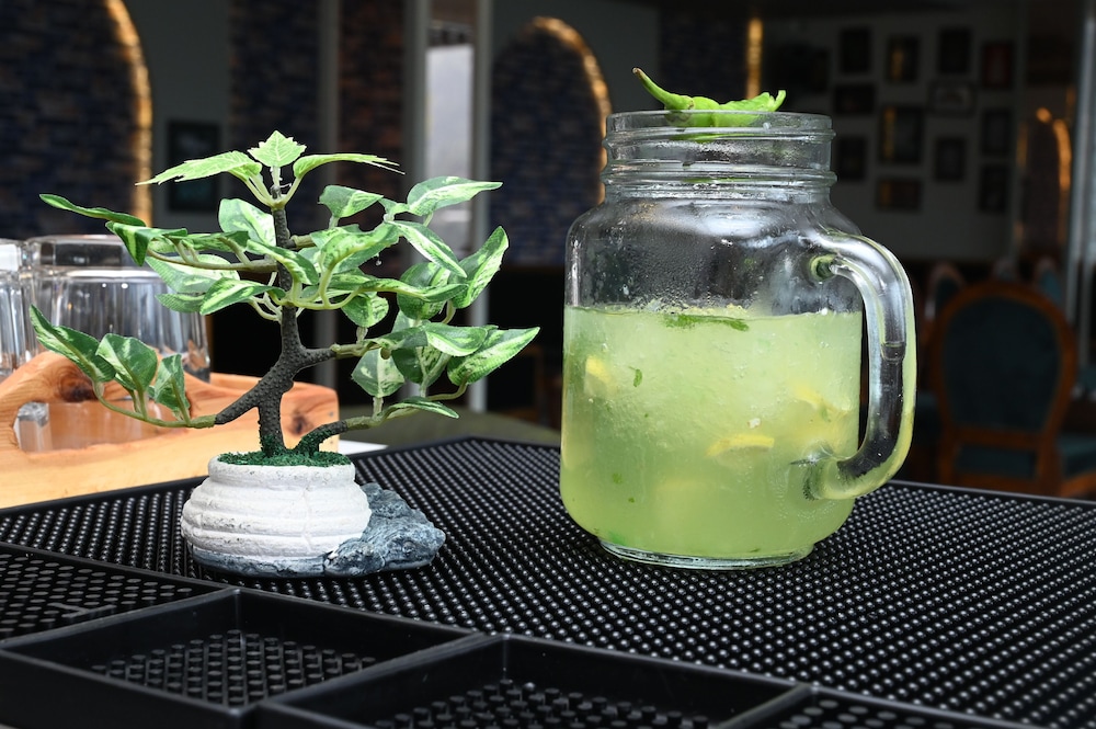 spt clarks inn suite mandi