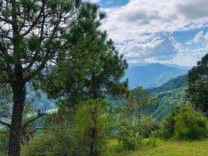 spt clarks inn suite mandi