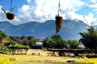 Safari Land And Guest House,Nilgiri Hills>>Masinagudi,3 star