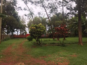 studio 62 guest house