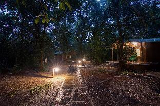 Seethanadi Nature Camp-Jungle Lodges,Mangalore>>Karkala,3 star
