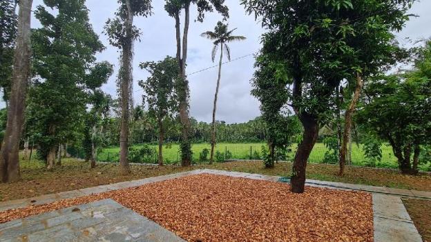 kuttattukulam