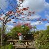wild honey inn
