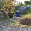 wild honey inn