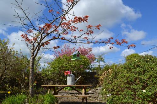 Wild Honey Inn,County Clare>>Clarecastle,4 star