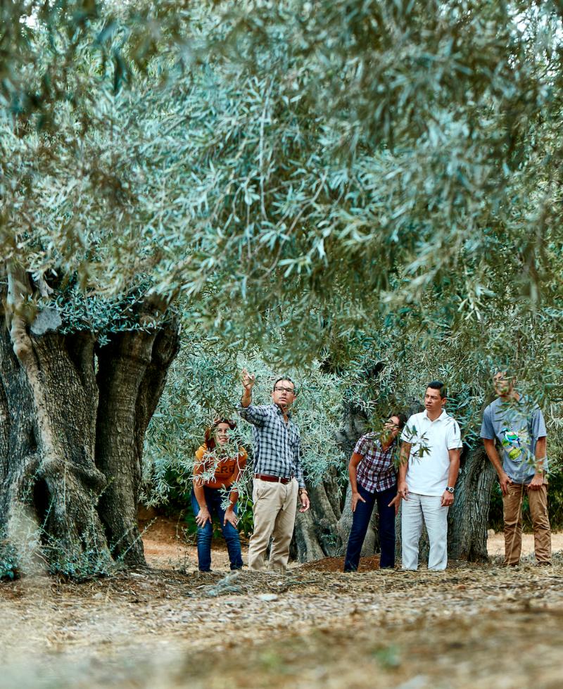 castro marim