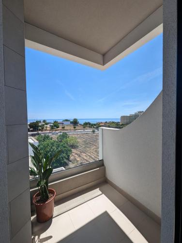 portimao