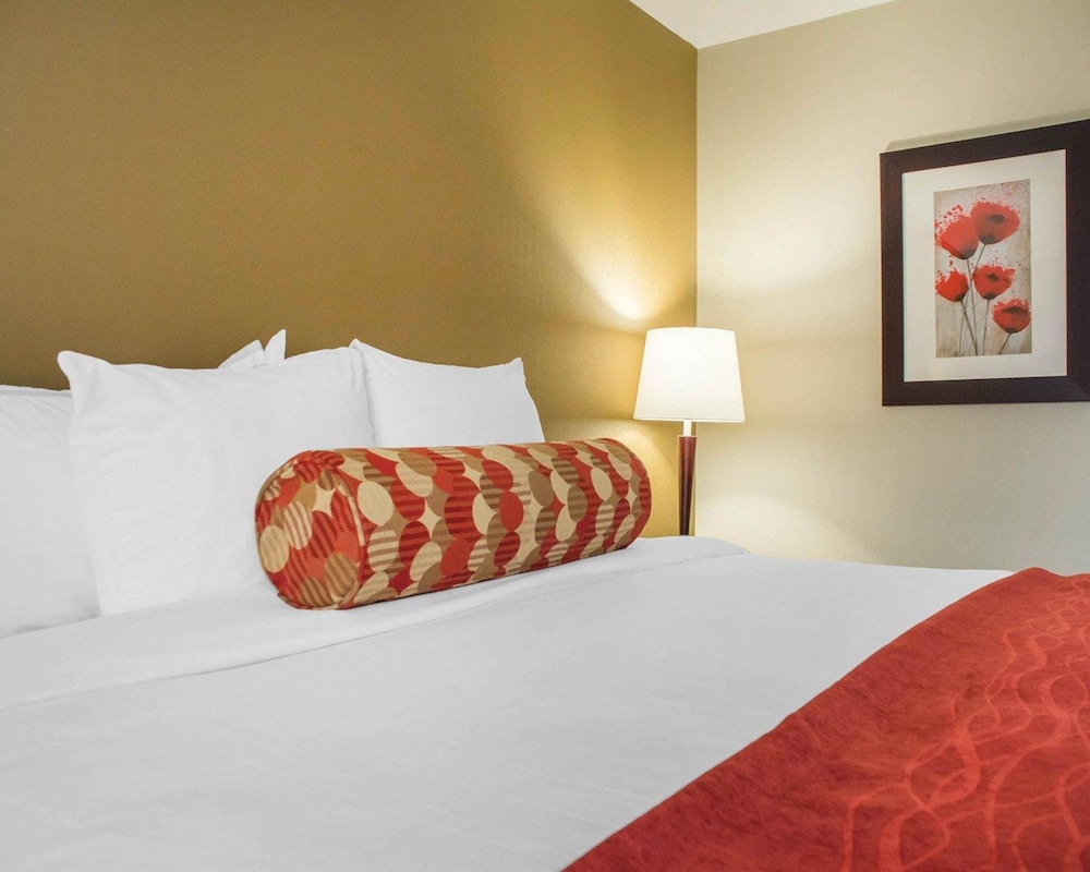 comfort inn burlington