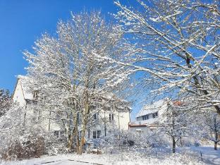 bad windsheim