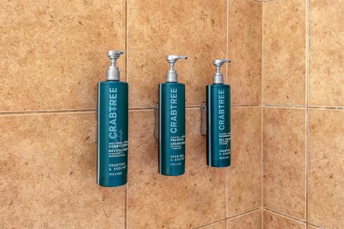 hilton vacation club san luis bay avila beach