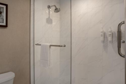 hampton inn by hilton winnipeg downtown