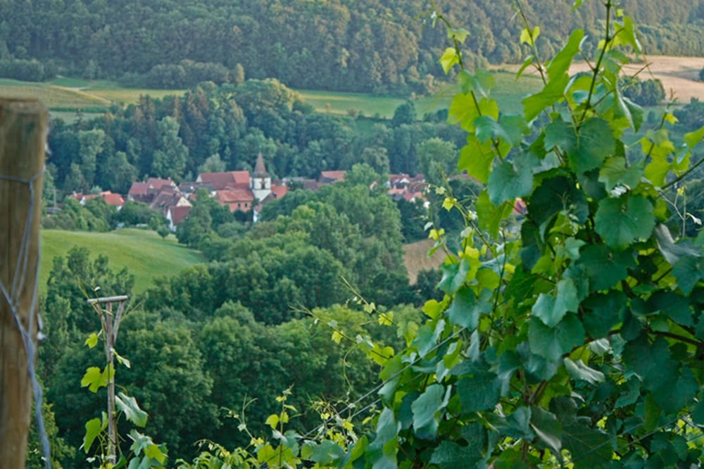 zum falken