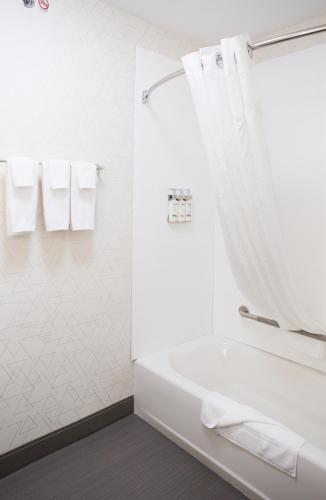 holiday inn express and suites prince albert south