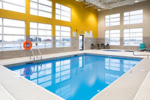 holiday inn express and suites prince albert south