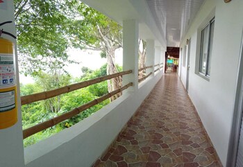 piojo