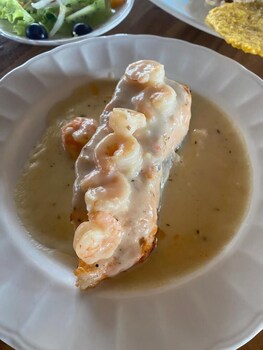 piojo