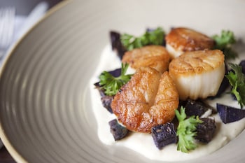 Kimpton Taconic Hotel By Ihg,Manchester>>Bennington,4 star