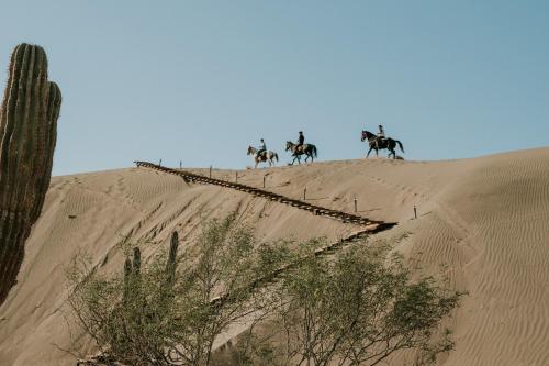 la paz