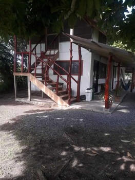 amayas hostel