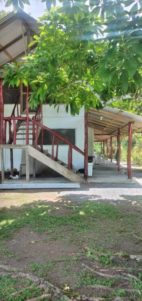 amayas hostel
