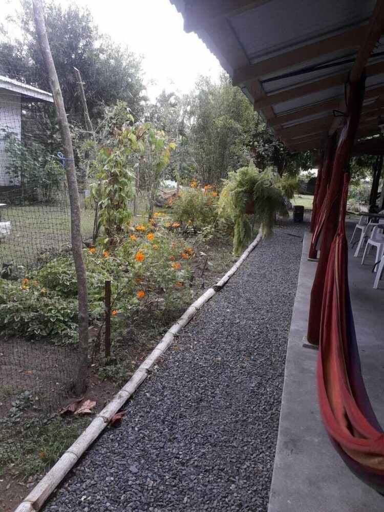 amayas hostel