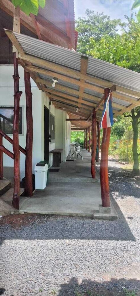 amayas hostel