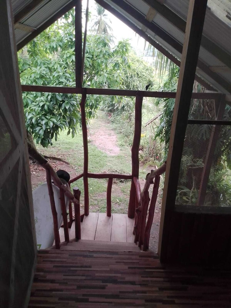 amayas hostel