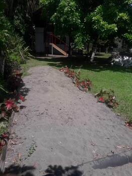 amayas hostel