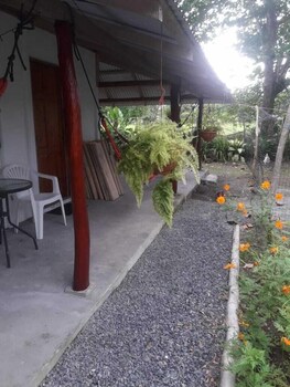 amayas hostel