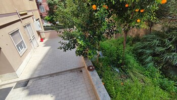 vatican green garden