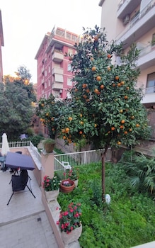 vatican green garden