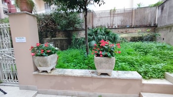 vatican green garden