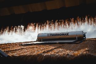 monkeys canopy resort