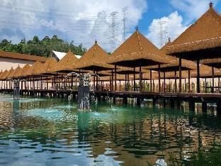 monkeys canopy resort