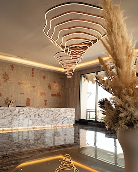 monkeys canopy resort