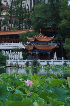 hilton garden inn kunming dianchi