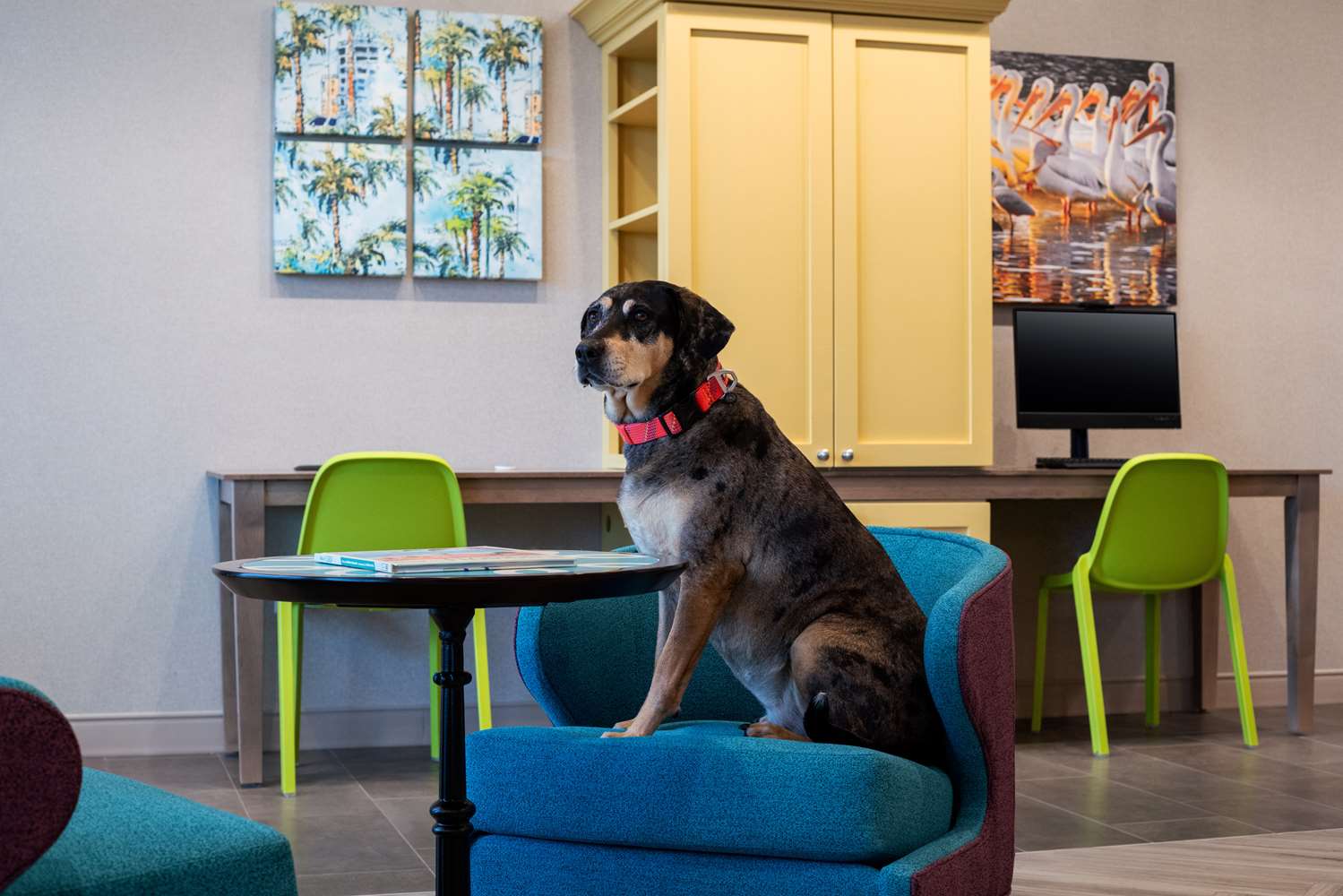 home2 suites by hilton lake mary orlando