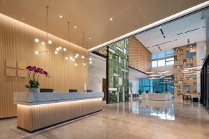 hilton garden inn shenzhen guangming hongqiao park