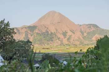 villa strawberry sembalun